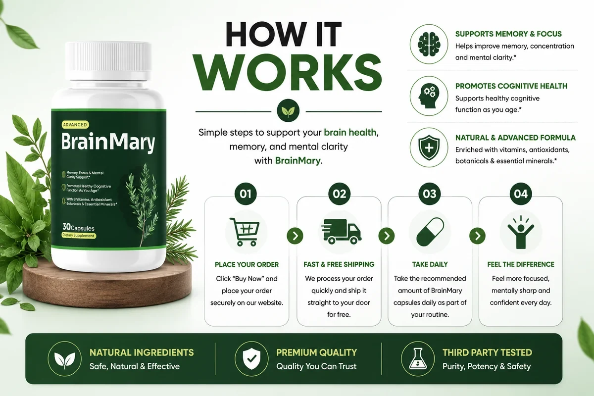 How BrainMary works infographic showing the daily routine from order to daily use